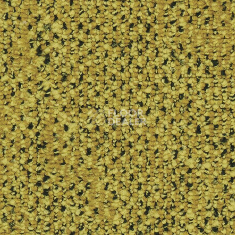 Balsan Take a Walk 330 Take a Walk фото 2 | FLOORDEALER